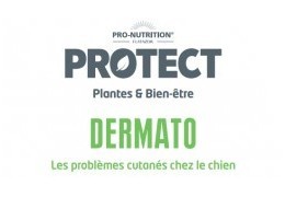 Comment nos croquettes Protect Dermato contribuent au traitement de la dermatite atopique chez le chien ?